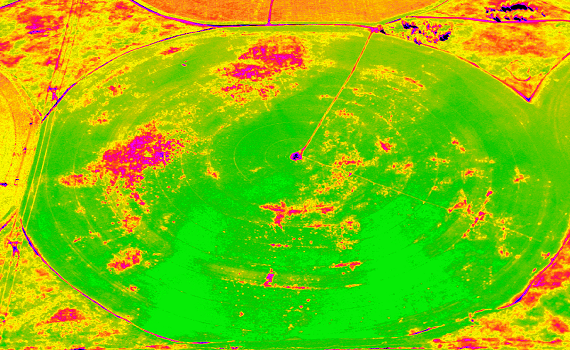 Modern NDVI Corn